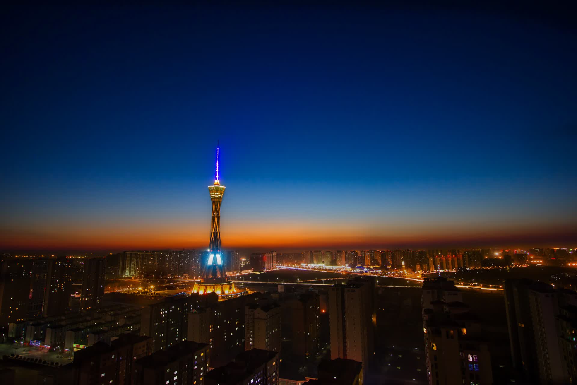 世界桥牌线上青少年赛：数字平台带来更多机会，世界桥牌选手排名
